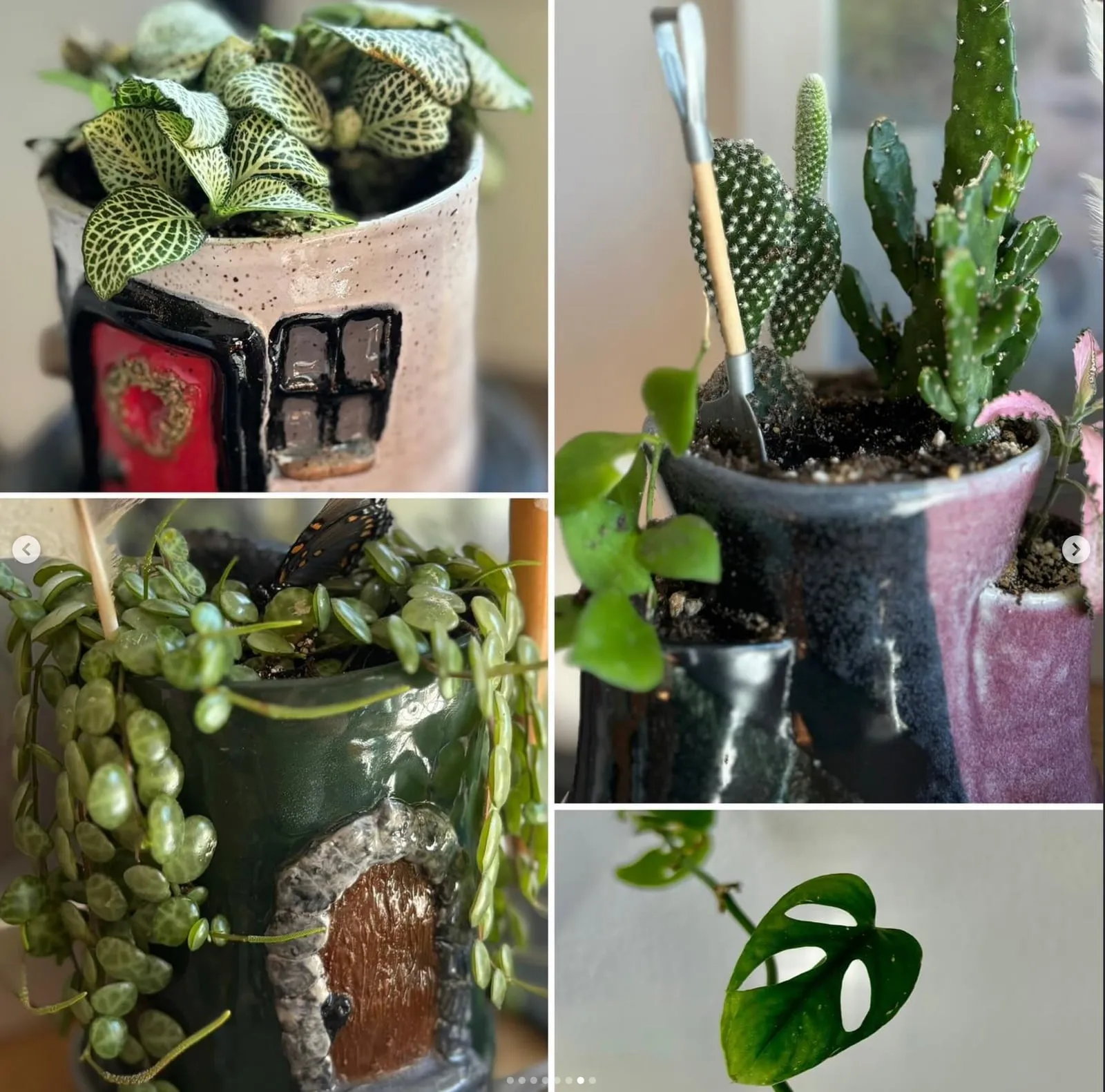 Two of Cole's ceramic house-shaped planters holding plants.